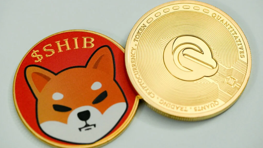 shib这个币怎么样(shib这个币做什么的) shib这个币怎么样(shib这个币做什么的)