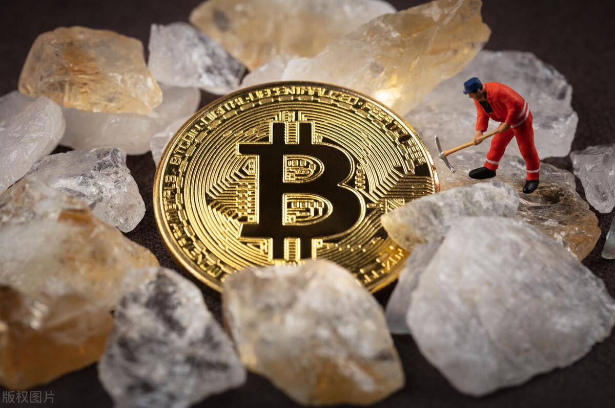 shib币圈(shib币上架了哪个交易所)