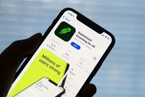 shib币2021(shib币2021年底)