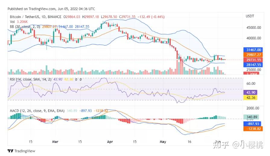 shib币行情走势一年(shib币价格今日行情图)