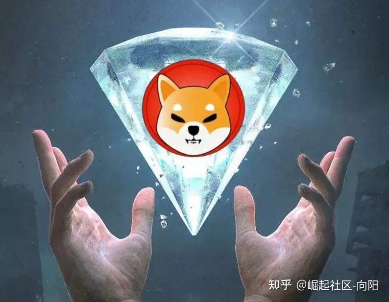 SHIB的持币地址(shib持币地址数量查询)