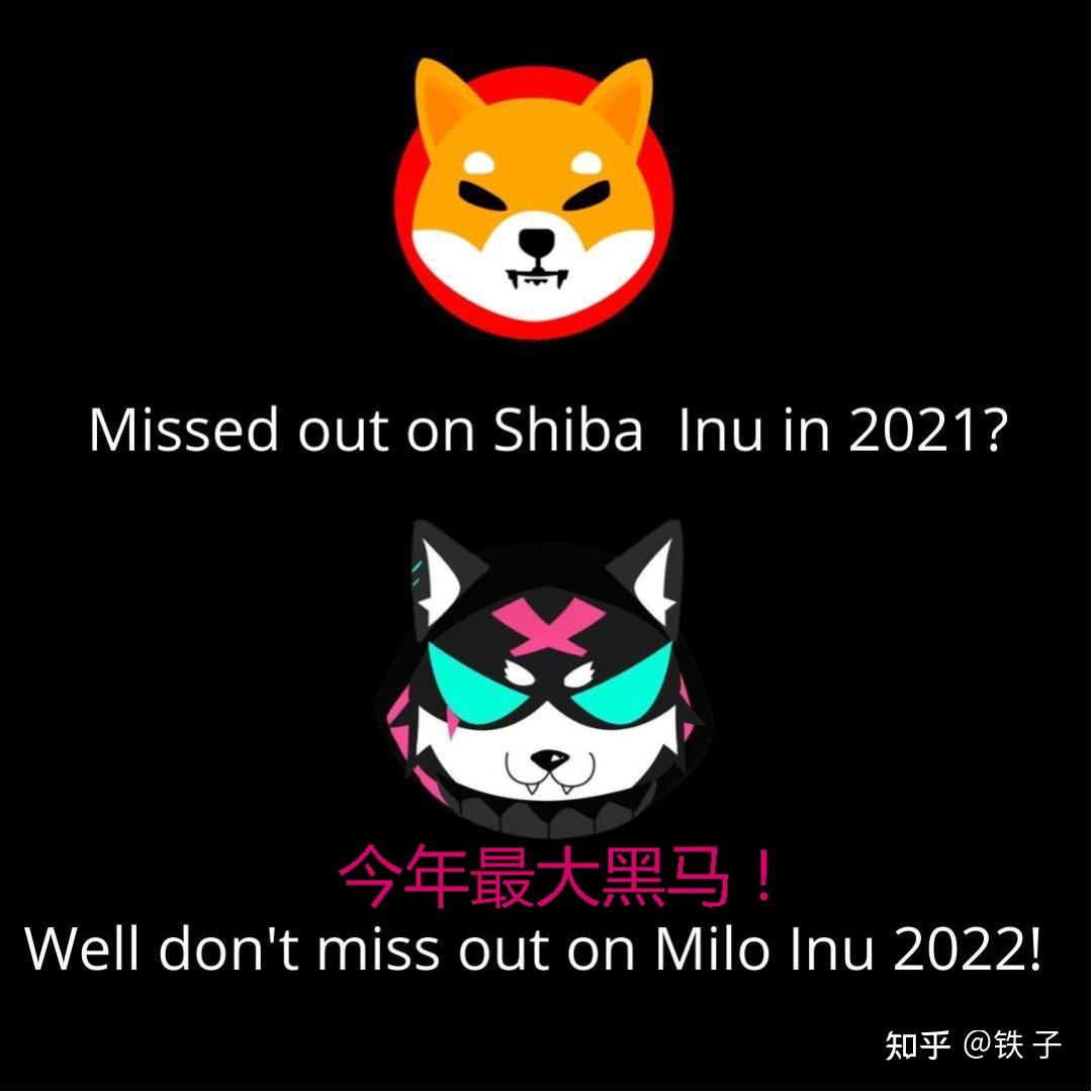 SHIB的持币地址(shib持币地址数量查询)