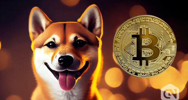 shib币还有机会吗(shib币未来到底有没有价值)