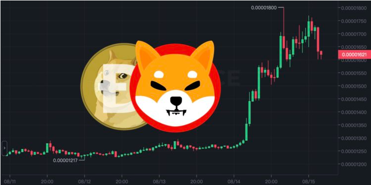 shib币三年涨多少(shib币两年能多少钱)