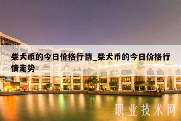 包含一个shib币值多少人民币的词条