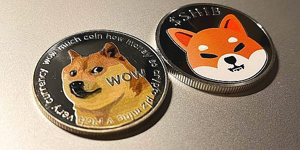 买shib币能赚到钱吗(买shib币能赚到钱吗是真的吗)