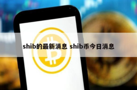 shib币怎么(shib币怎么交易)
