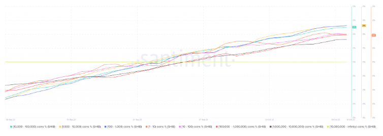 shib是山寨币(shib币是不是骗局)