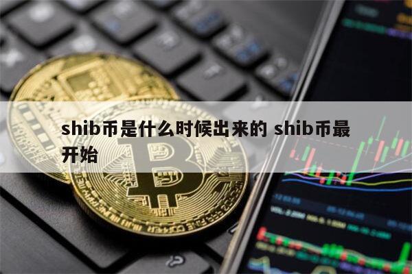 shib币路线图(shib币前景怎么样)