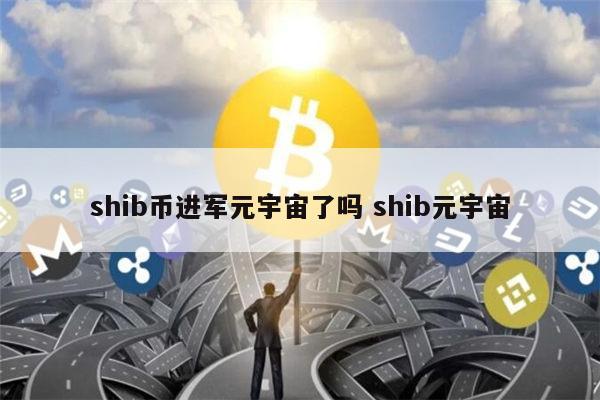 播放shib币台(shib币放在钱包里有收益吗)