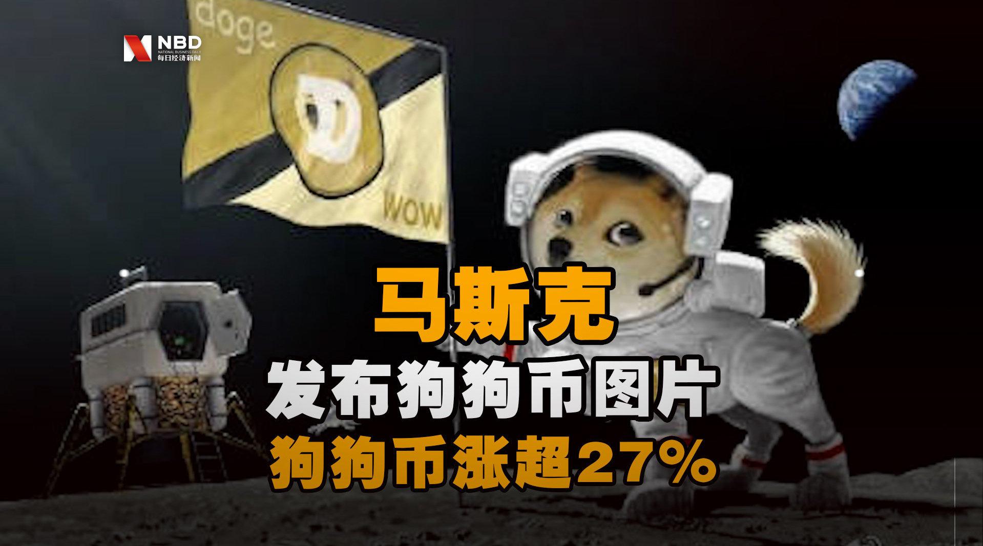 马斯克shib币(马斯克babydoge币)