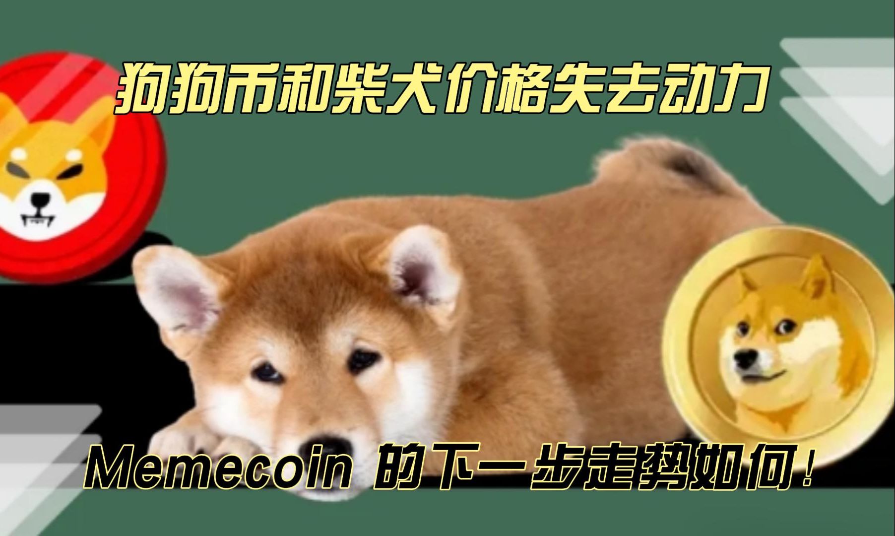 SHIB币最新交易价格(shib币最新价格 币币情)