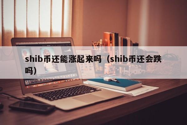 shib币涨(shib币涨了1百万倍)