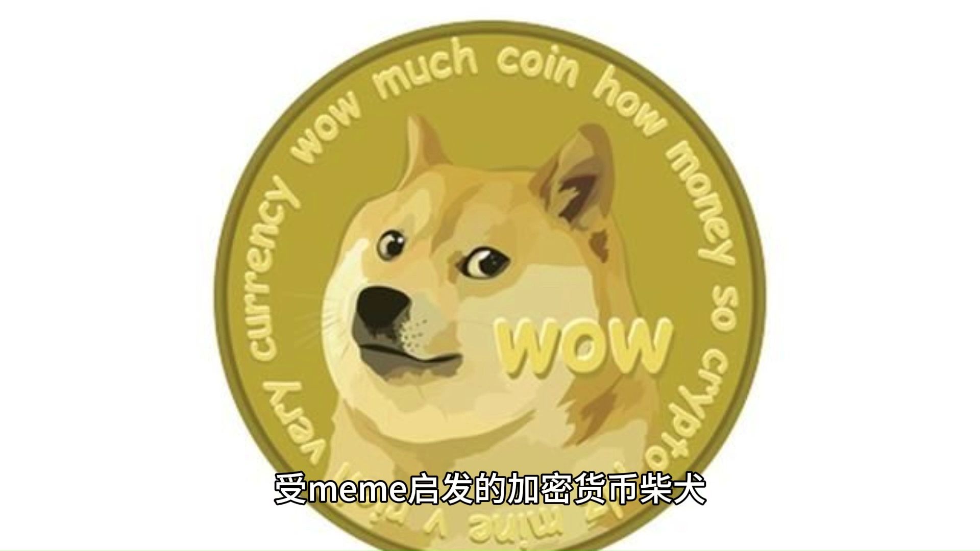 shib币为什么涨了(shib币为什么不涨了)