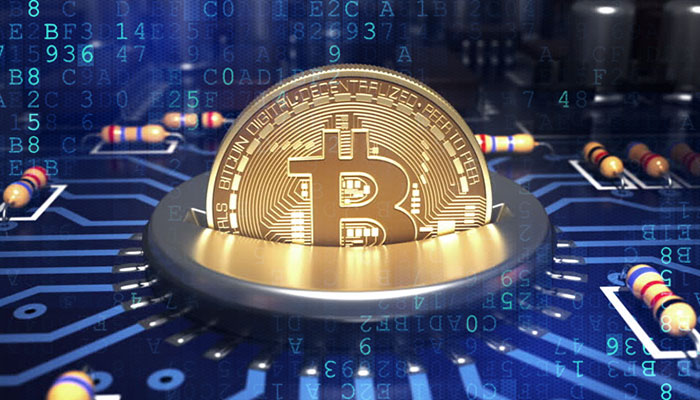 shib币是比特币吗(shib和比特币的区别)