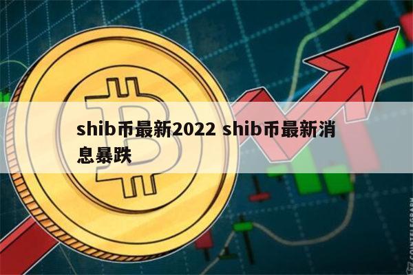 shib3是什么币子(shib币是什么意思啊)