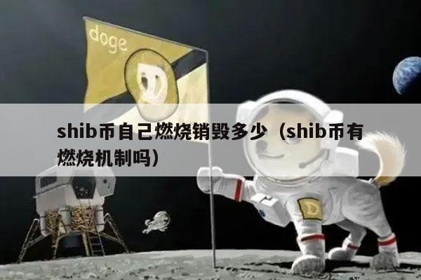 我想看shib币(我想要看shib币)