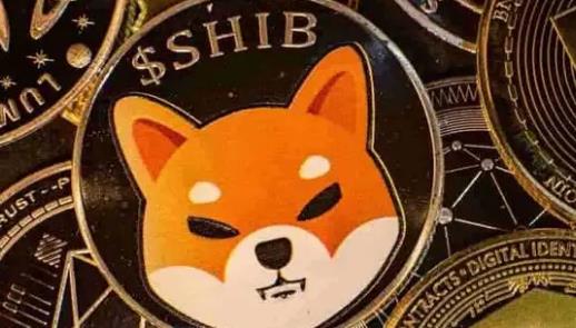 币shib(鼻屎变多是怎么回事)