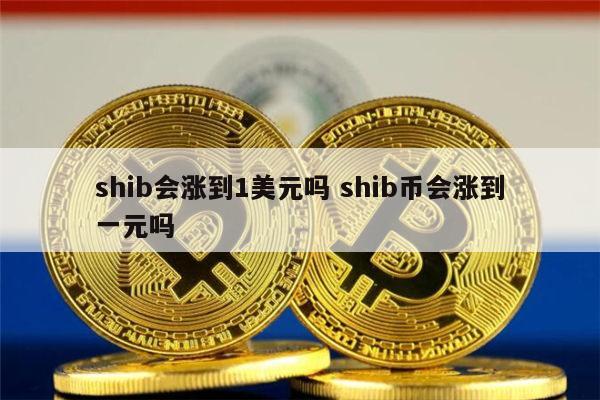 shib币垃圾(shib币暴跌怎么回事)