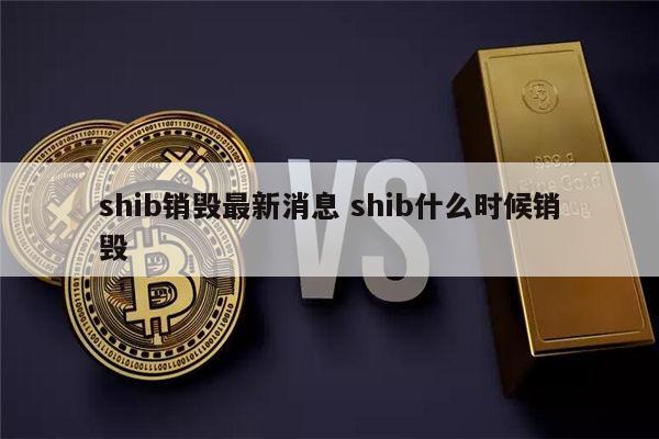 虚拟币shib(虚拟币是不是货币)