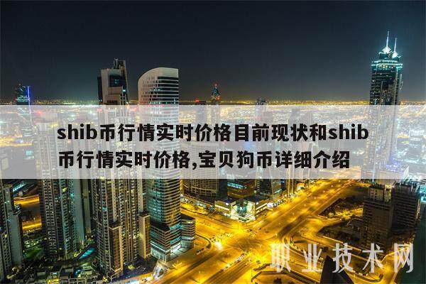 shib虚拟币行情(虚拟币实时行情app)