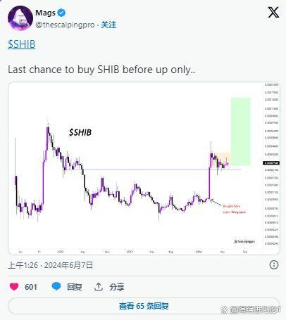shib币最新价格(shib币最新价格 币币情)