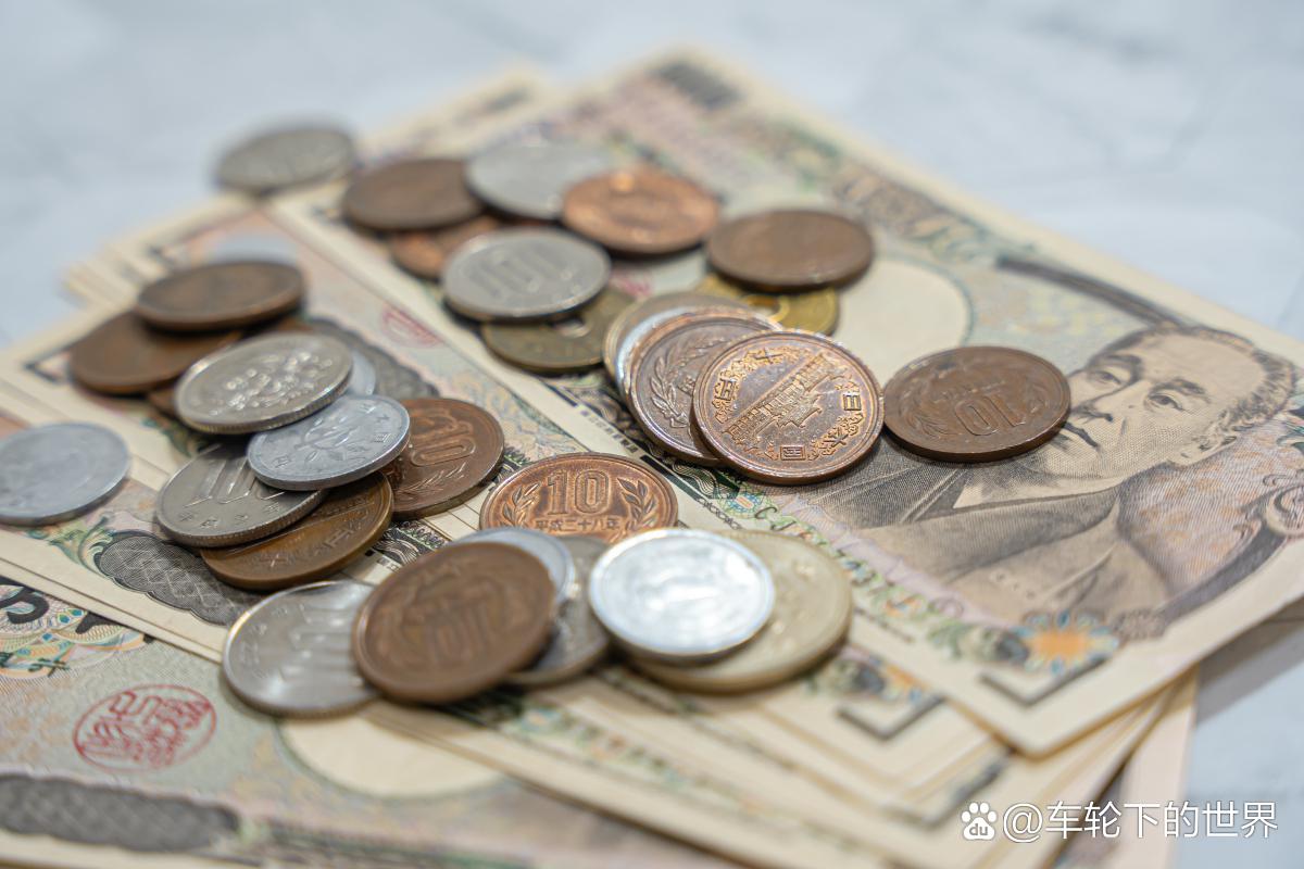 shib币图(shib币最新资讯)