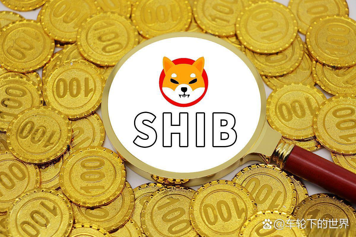 shib币怎么念(shib是什么币,中文怎么读)