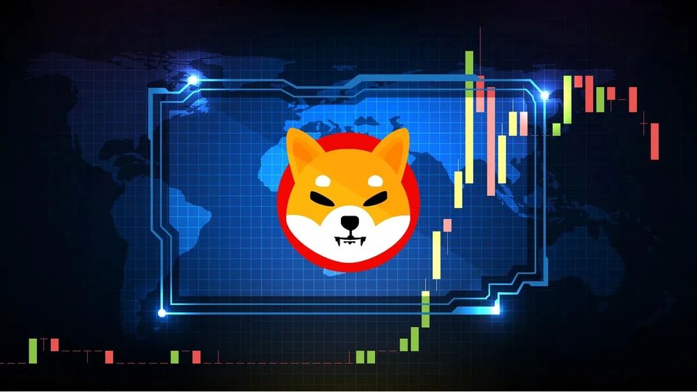 我想看shib币小度(一千块钱买了shib赚了7200万)