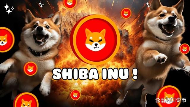 虚拟币shib(虚拟币shibi有庄家吗)