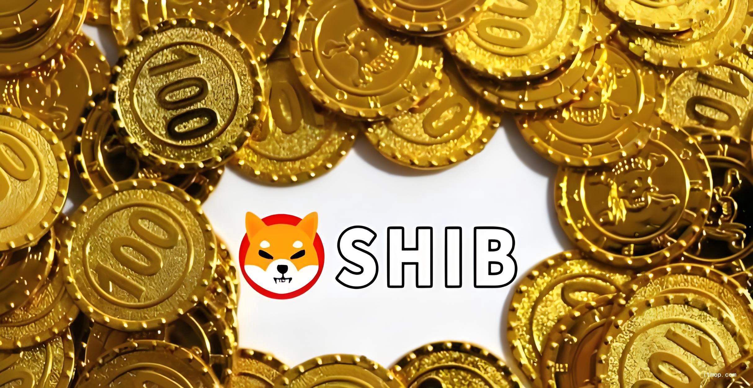 shib币6千(shib币刚出来多少钱)