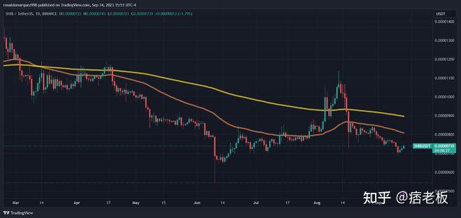 shib币价格最新消息(shib币的今日价格行情)