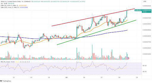 shib币价格最新消息(shib币最新消息每天销毁多少)