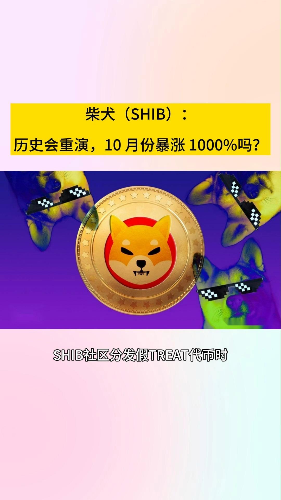 shib币的历史(shib币诞生时间)