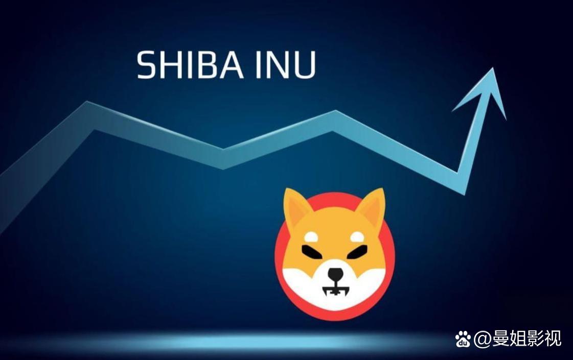 shib币是什么链的(shib币是不是传销币)