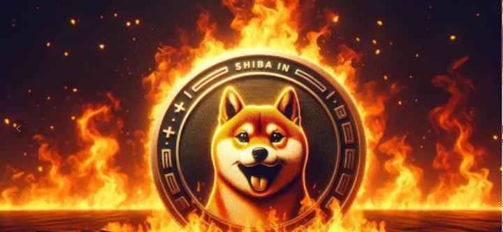 shib币2020年(shib币年底能涨到多少)