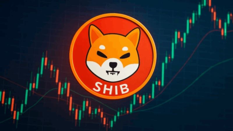 shib是什么币(shib币是哪个国家的人发行的)
