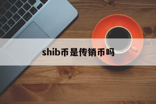 shib币是传销币吗(shib币是不是传销币)