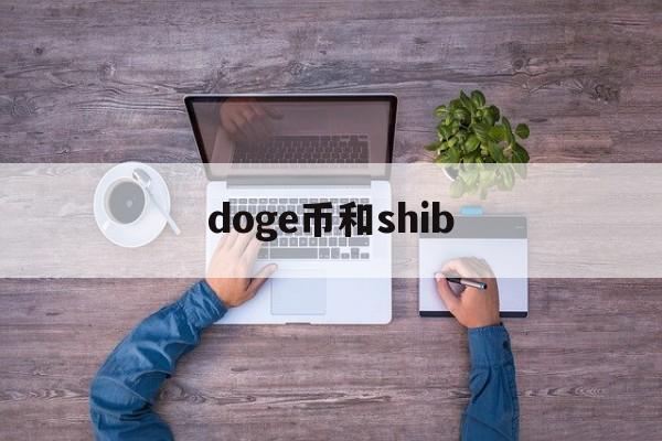 doge币和shib(doge币和shib币)